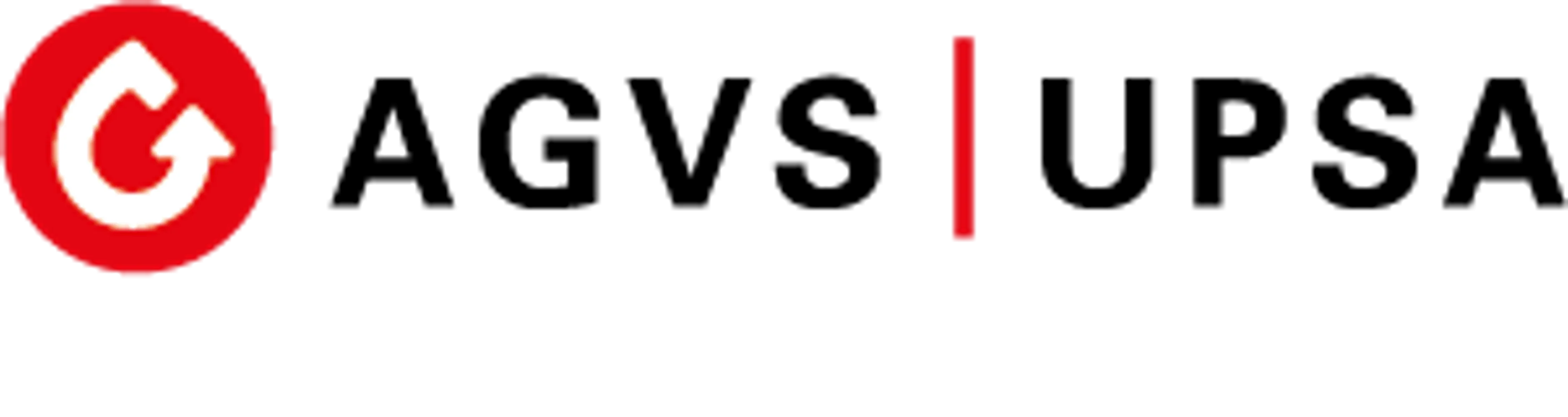 Auto Gewerbe Verband Schweiz (AGVS)