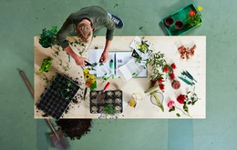 Florist/in EFZ