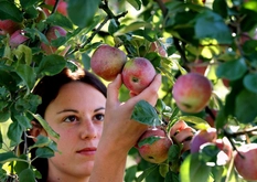 Obstfachmann/-frau EFZ