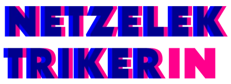 Netzelektriker.ch