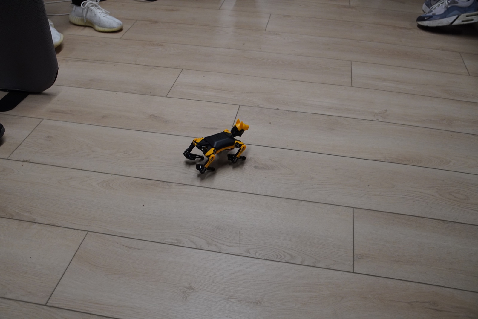 OpenMind OM1 Build Night w/ OpenAI Codex