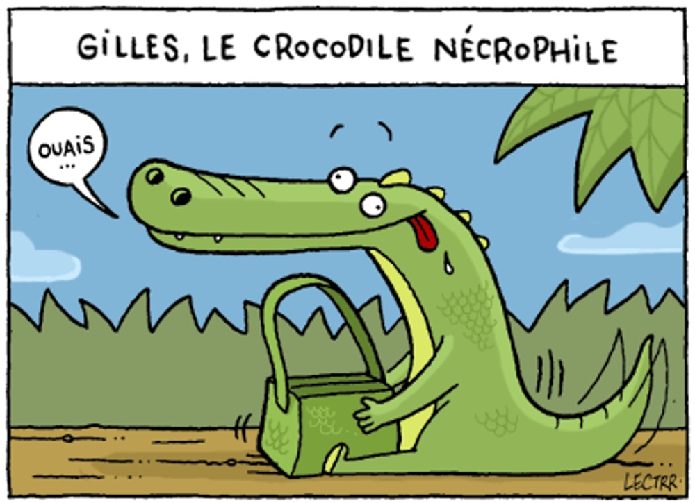 Crocodile