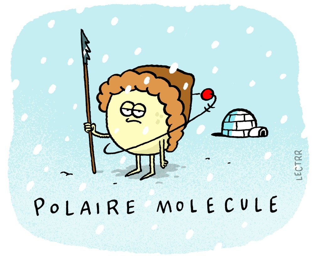 Polaire molecule