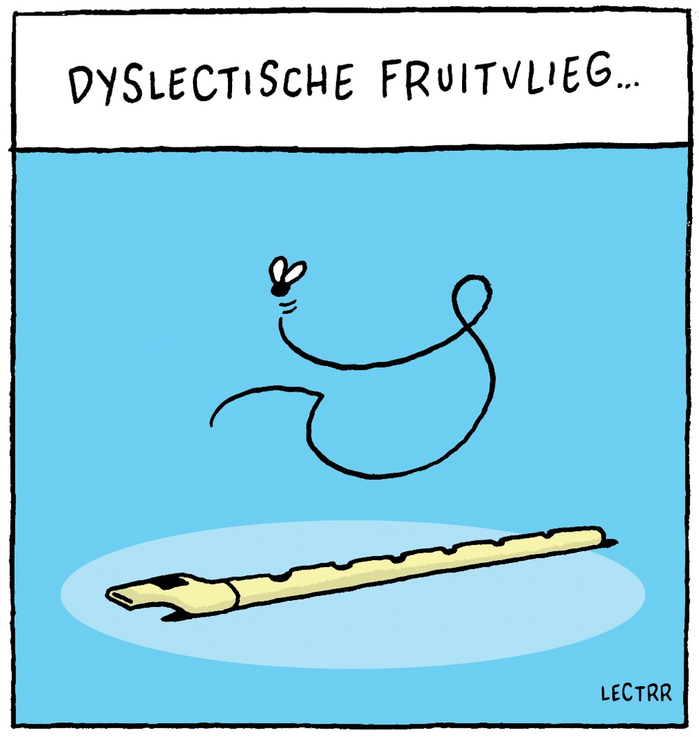 Fruitvlieg