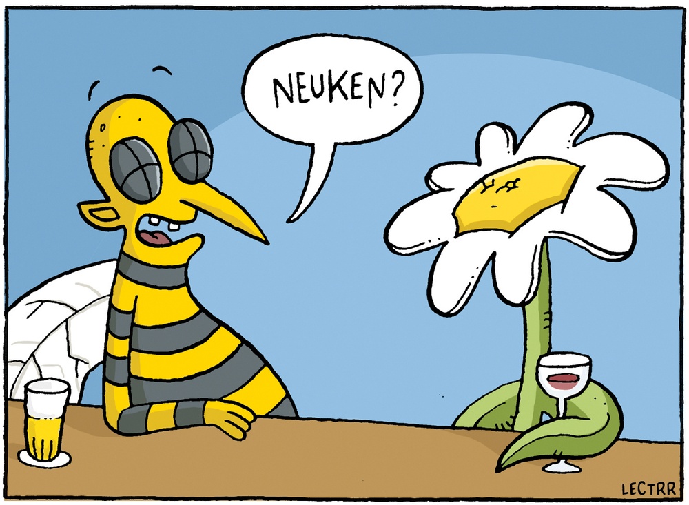 Bloem en bij