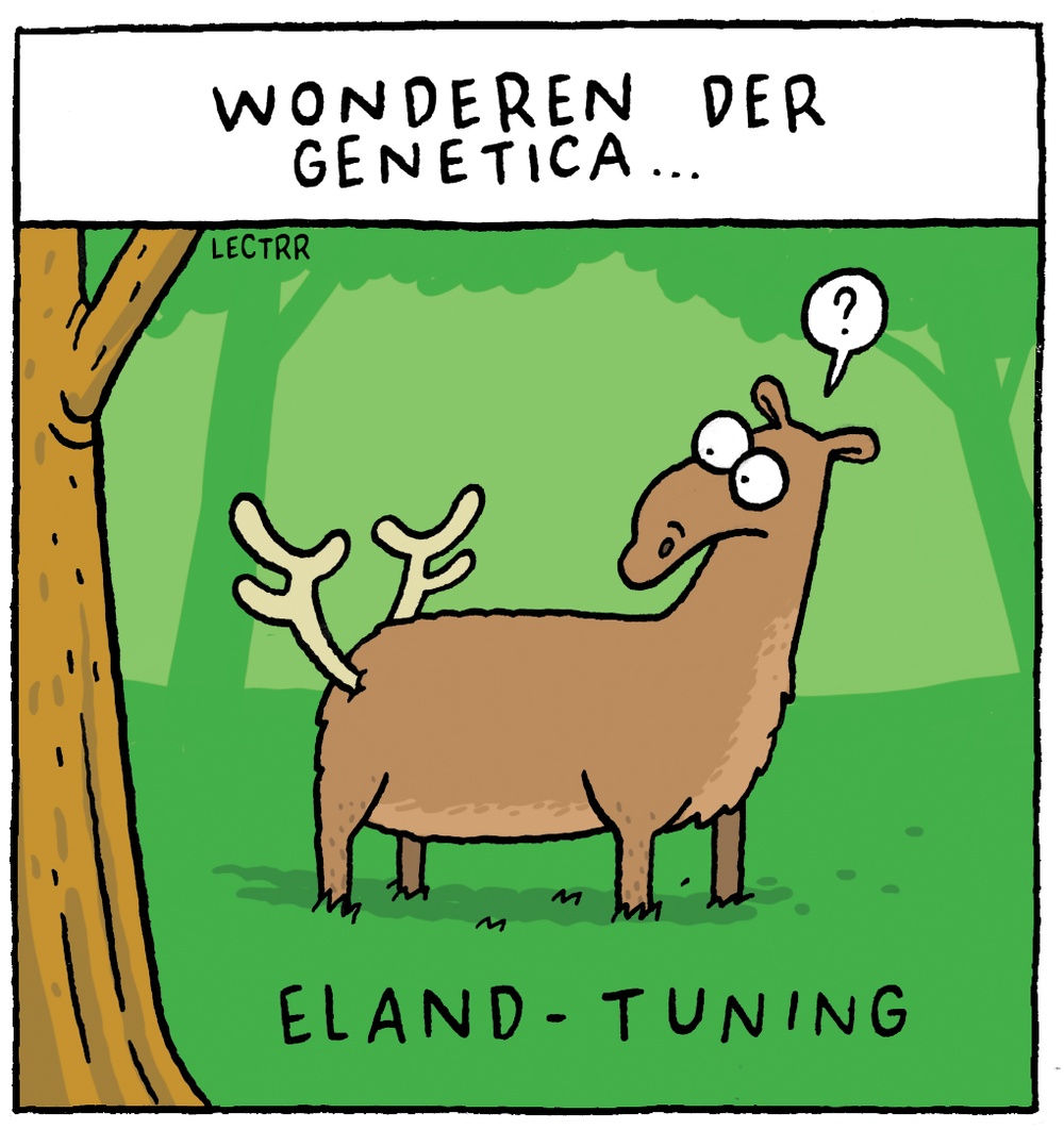 Eland-tuning