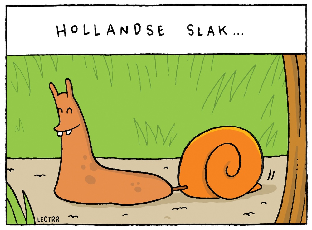Hollandslak