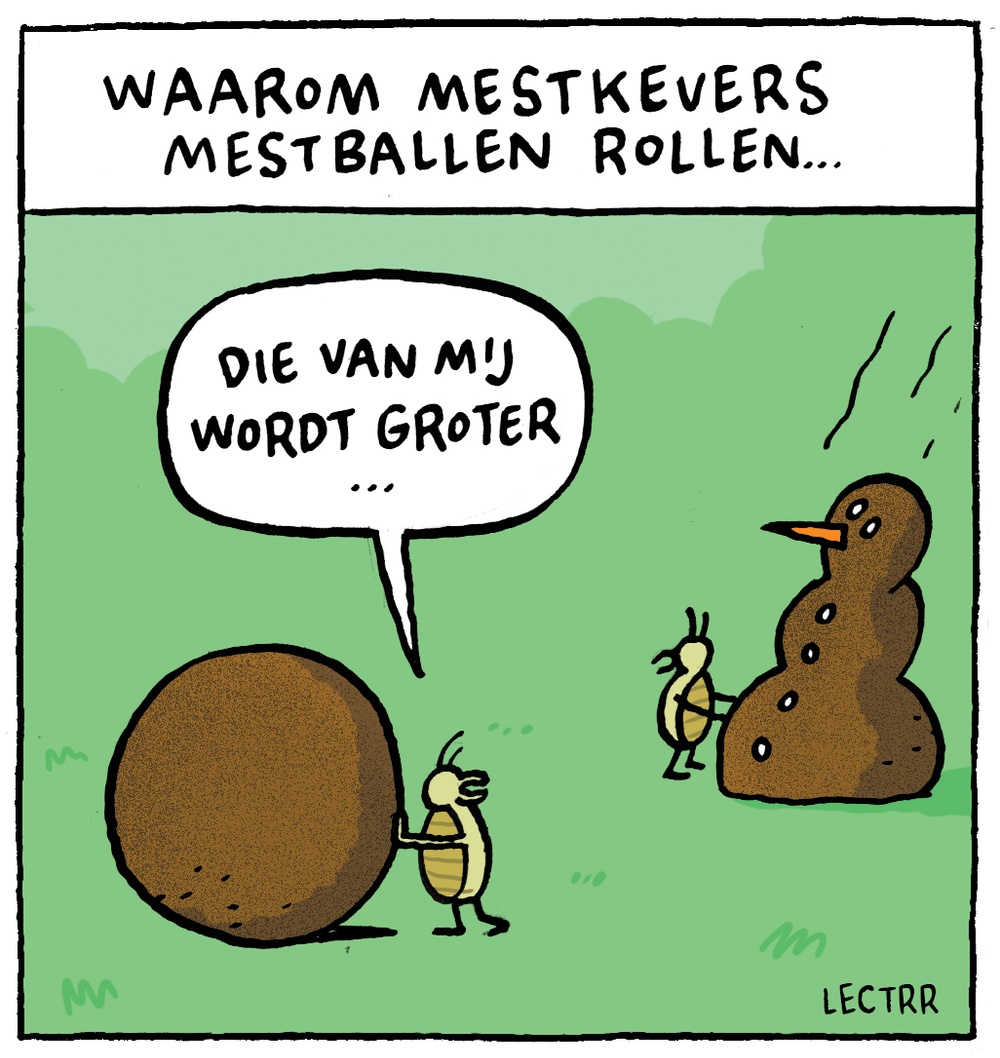 Mestkever