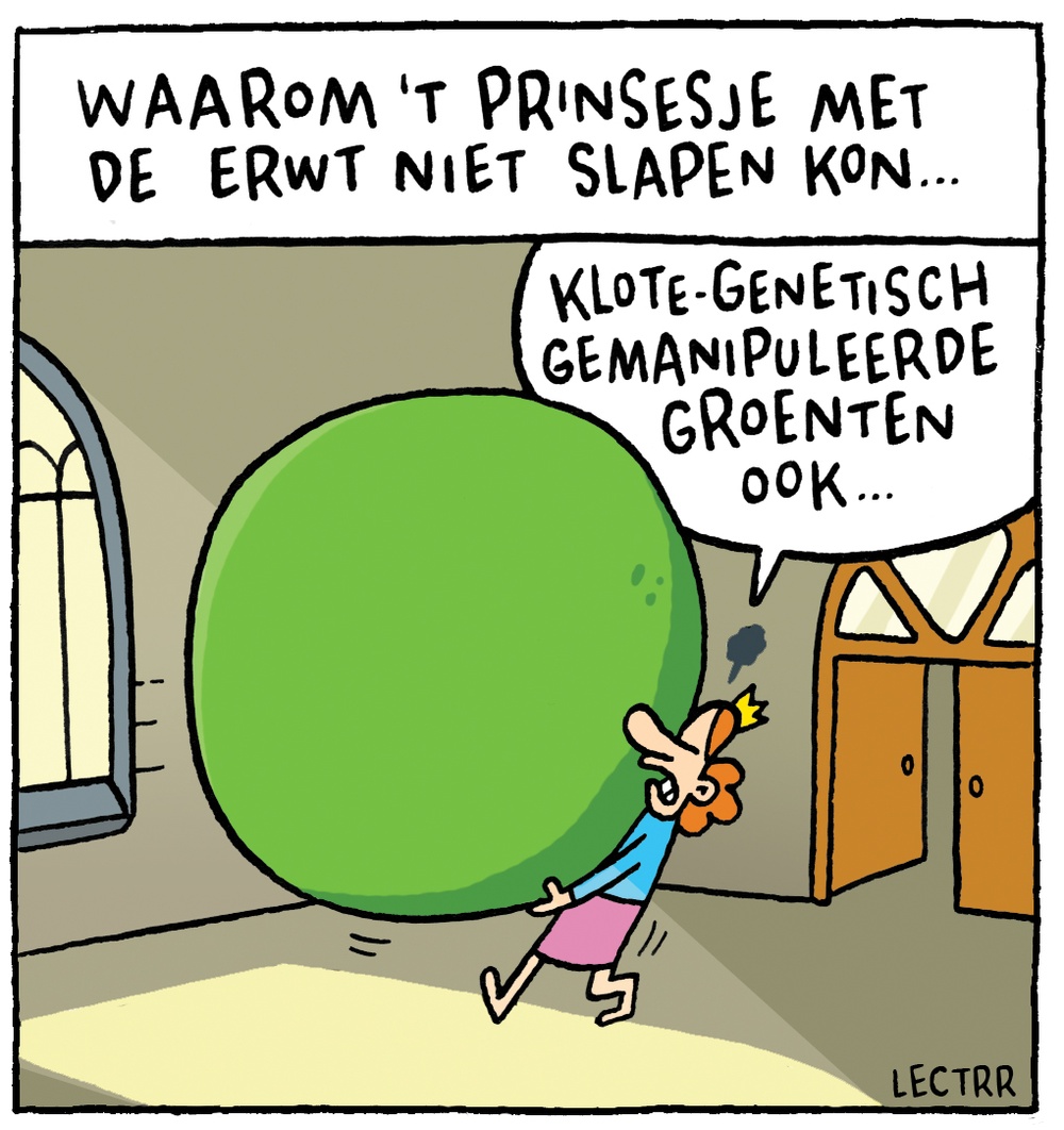Prinsesje