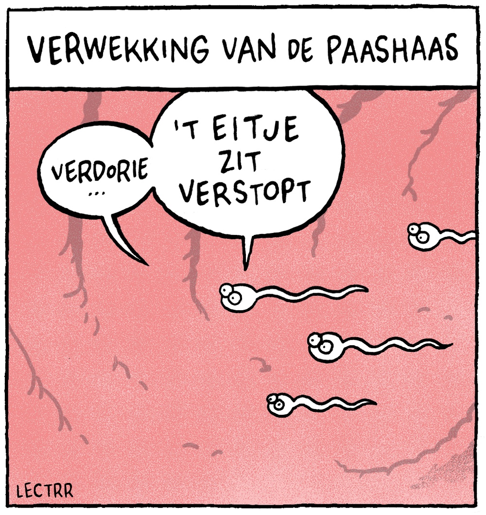 Verwekkingpaashaas