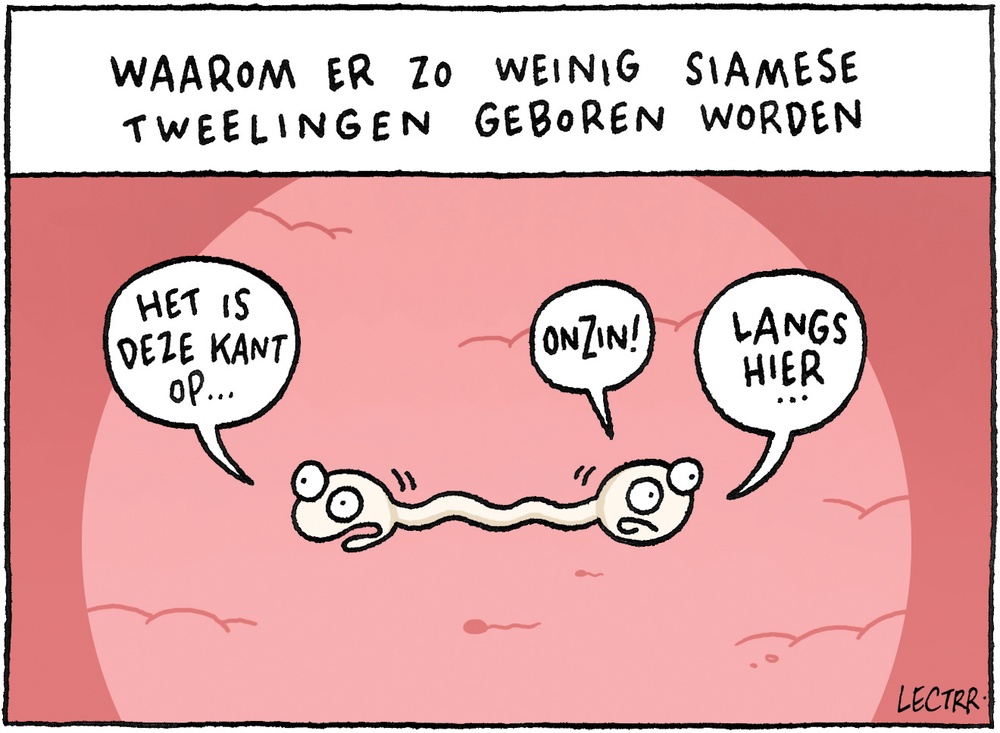 Weinig siamese tweelingen