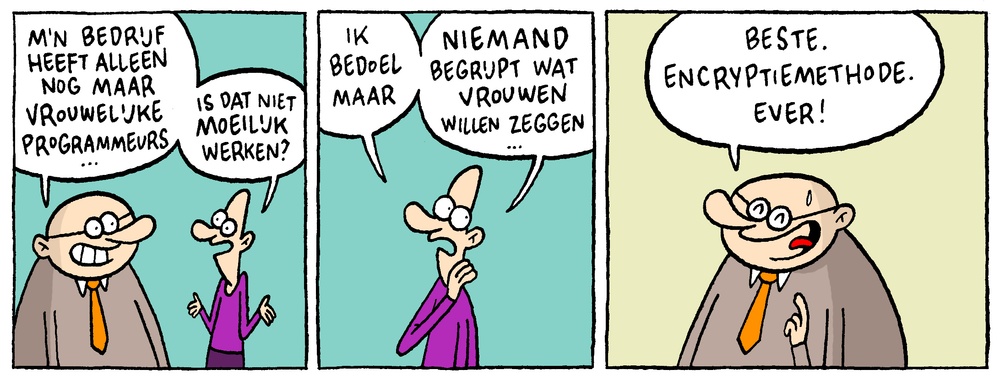 Vrouwelijke programmeurs