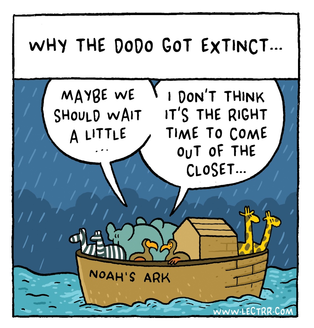 Dodo