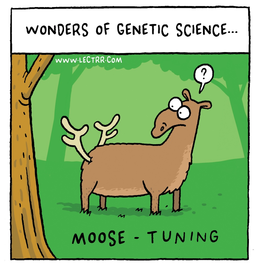 Moose-tuning
