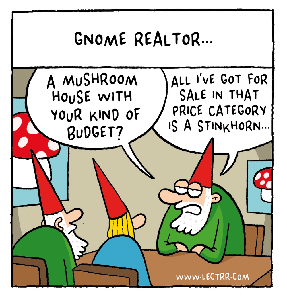 Gnome realtor