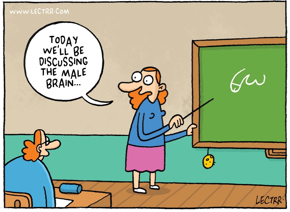 Male brain