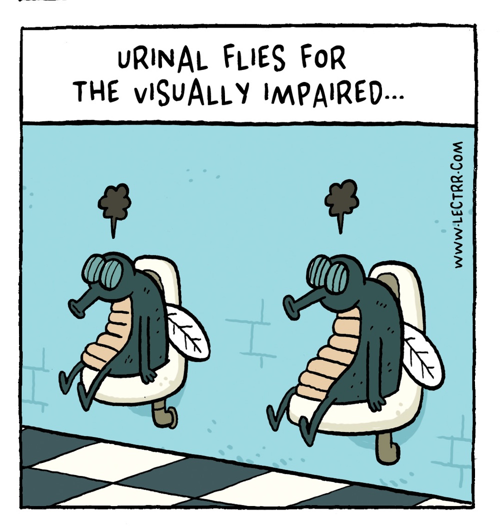 Urinal flies