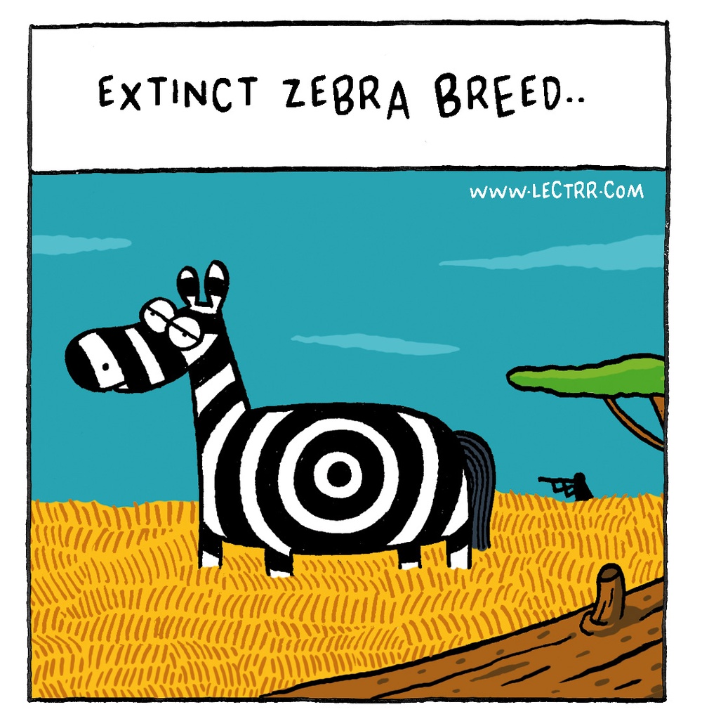 Zebra breed