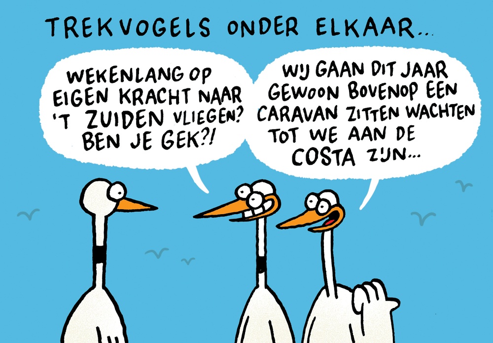 Trekvogels onder elkaar