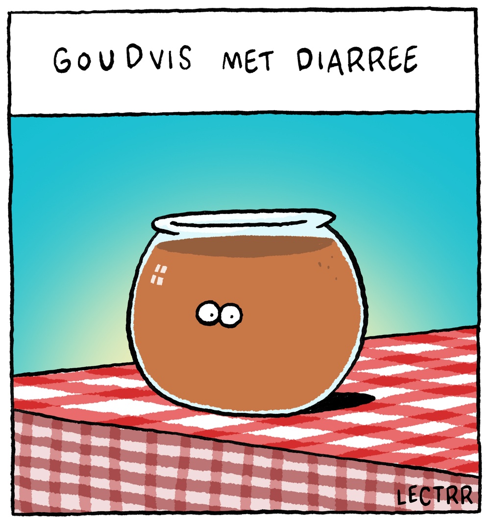 Goudvis