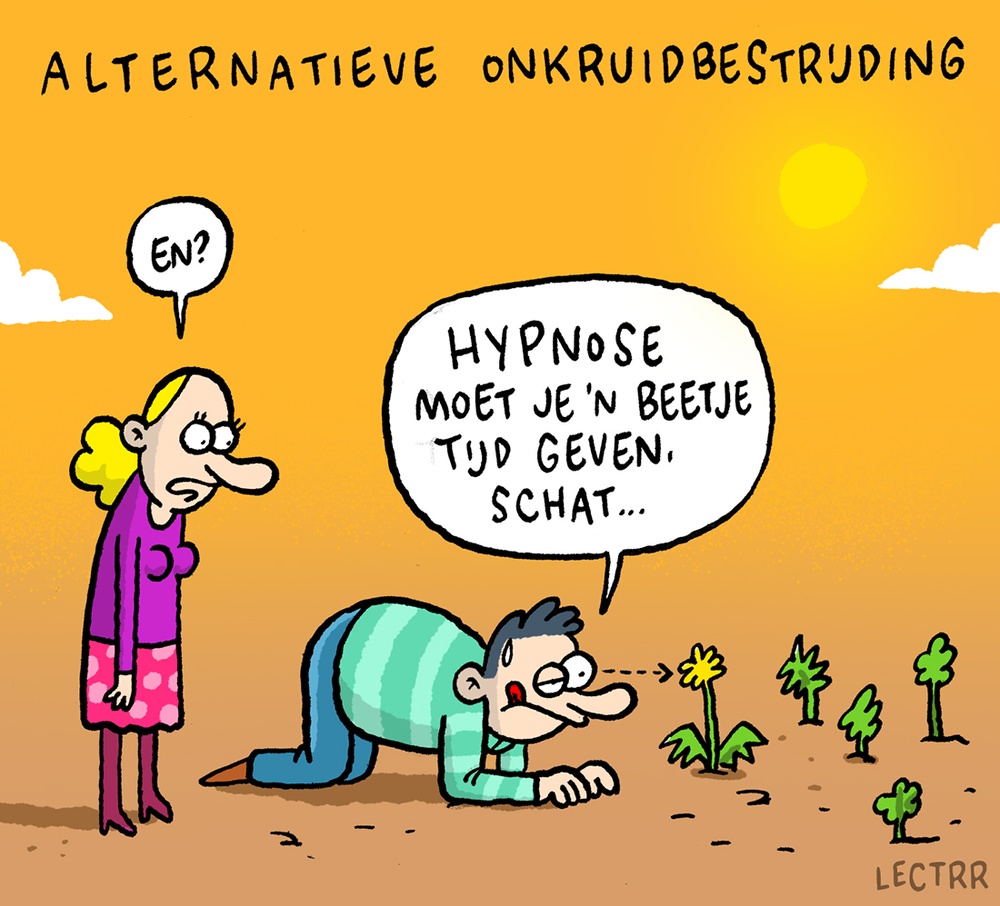 Onkruidbestrijding