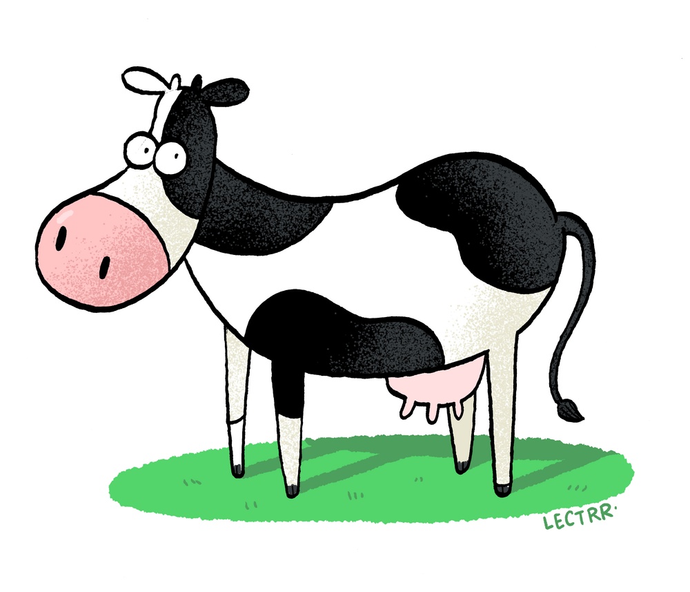 Cow