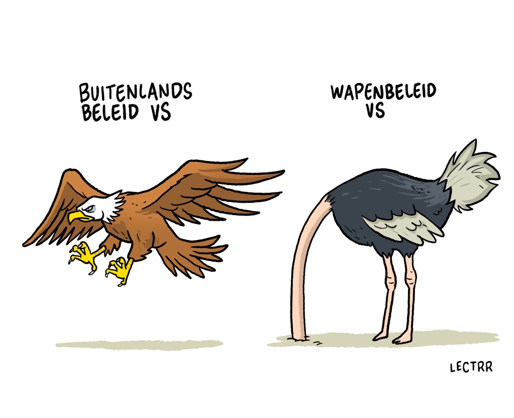 Wapenbeleid VS