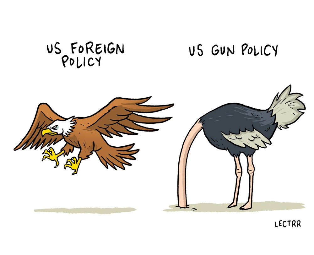 US gun policy