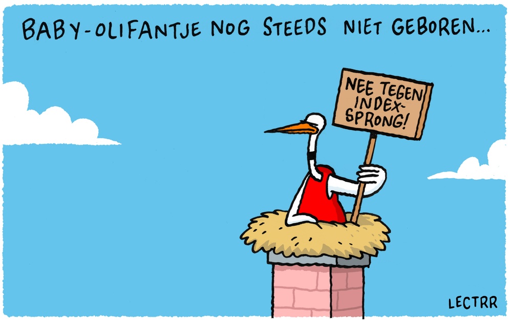 Baby Olifantje Planckendael