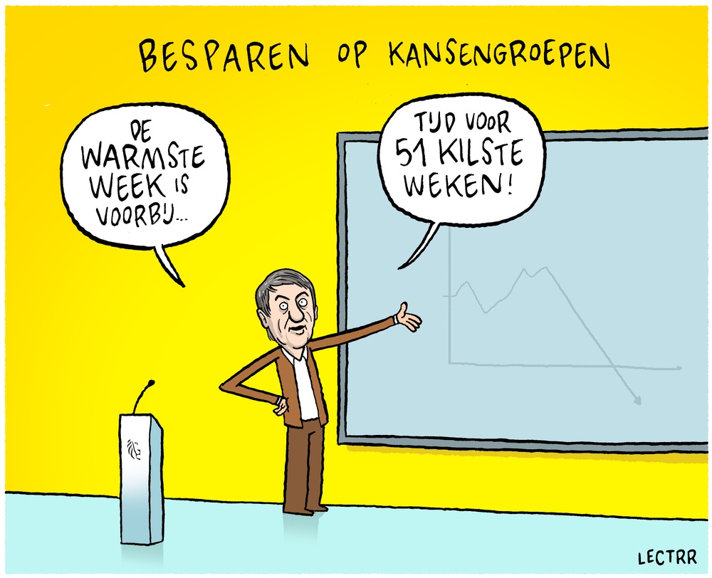 Besparing projectsubsidies