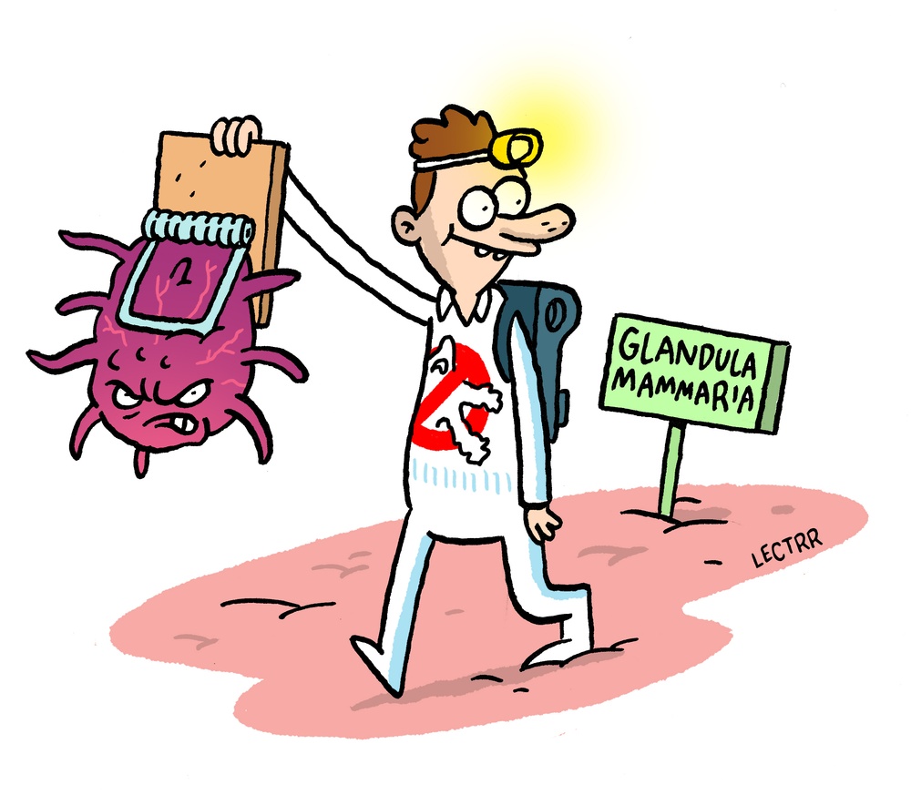 Borskanker screening