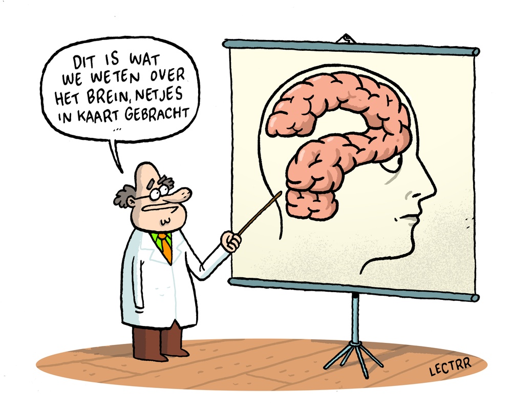 Het Brein!