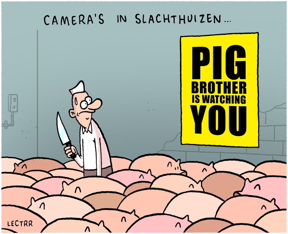 Camera's slachthuizen