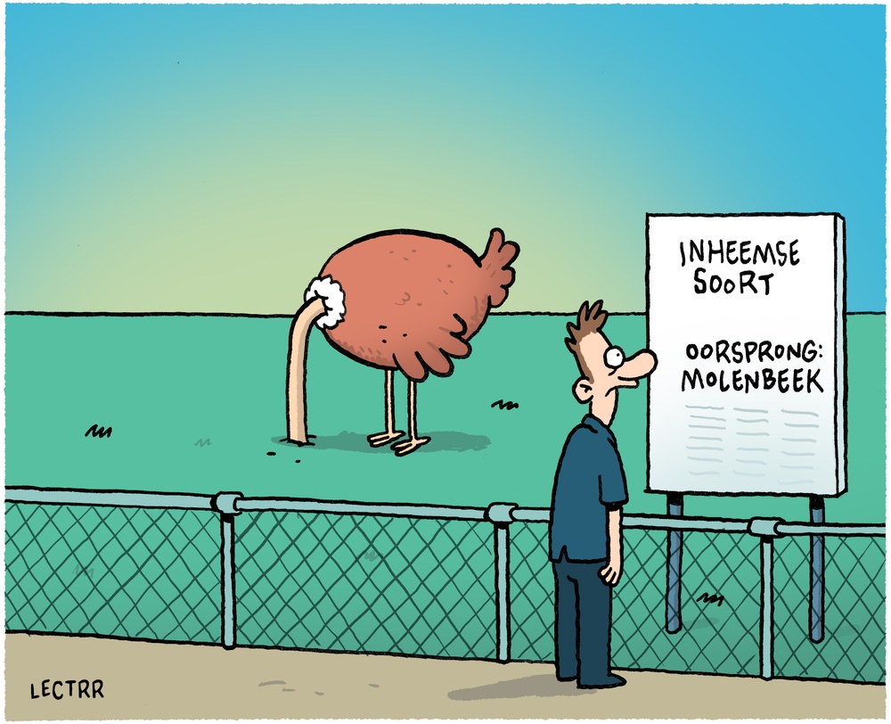 Dader aanslag Brussel-Centraal 