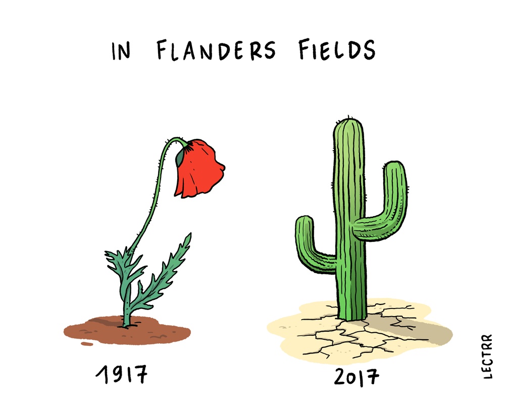Flanders Fields
