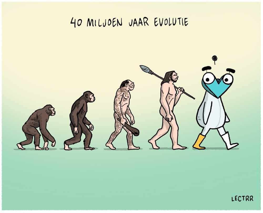 Evolutie