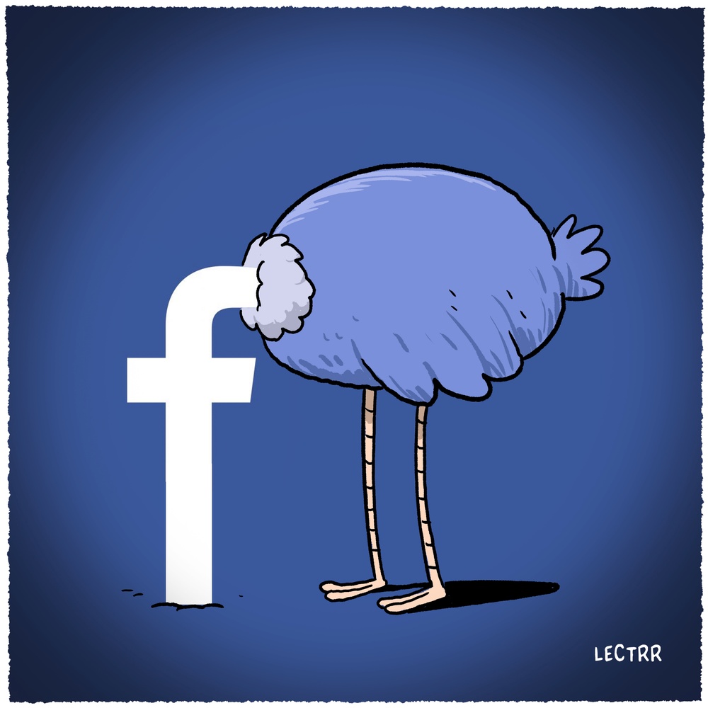 Struisvogel / Autruche /  Ostrich