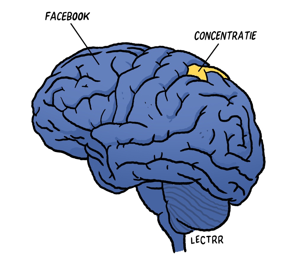 Concentratievermogen
