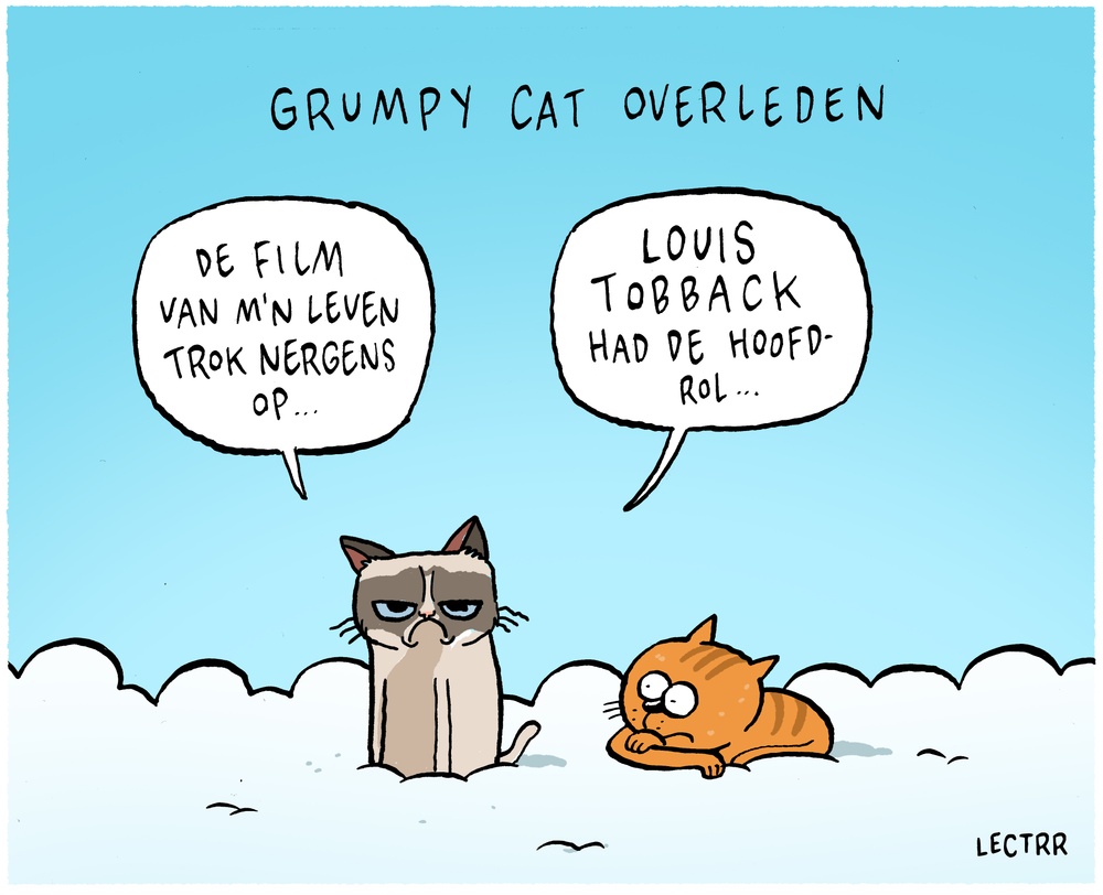 Grumpy Cat