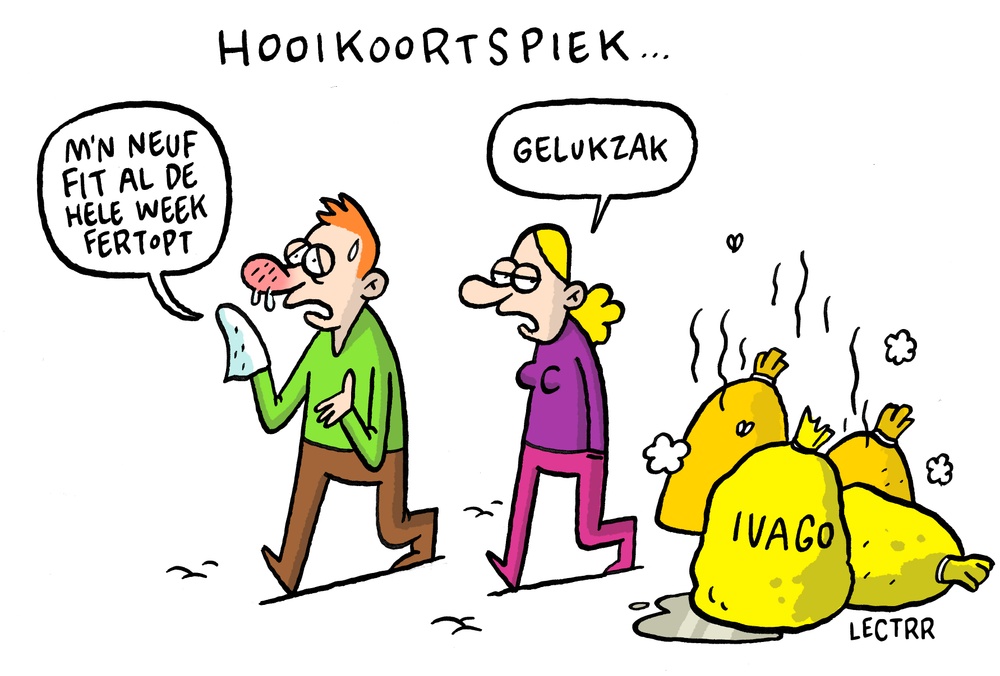 Hooikoortspiek