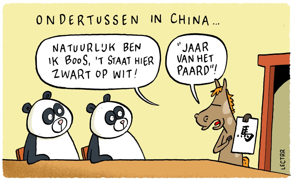 Jaar van het Paard