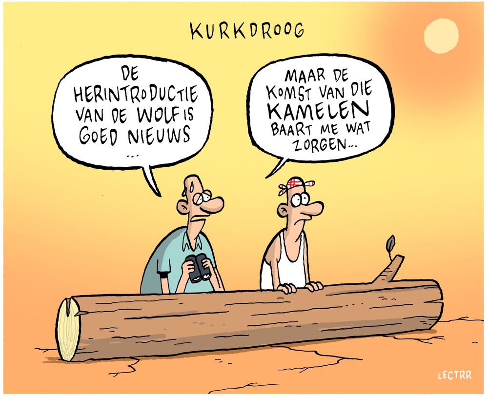 Kurkdroog