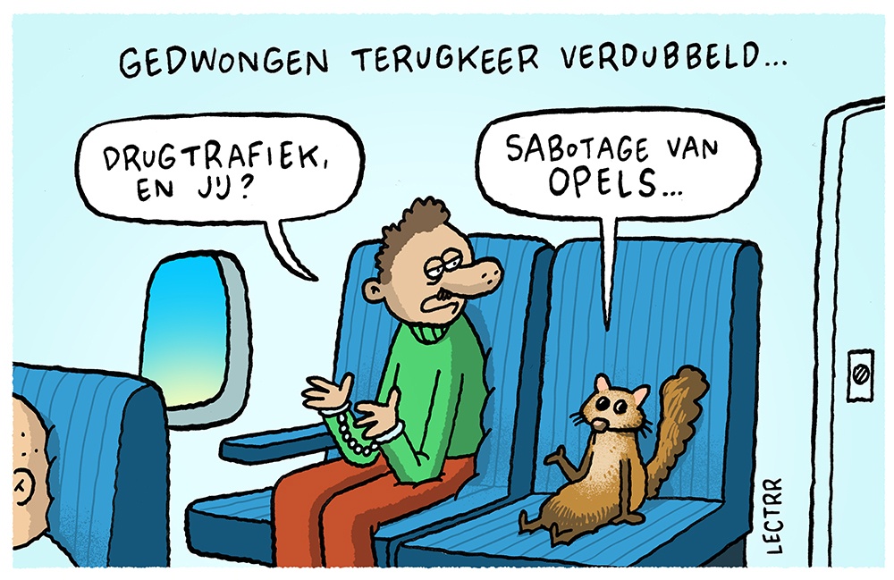 Terugkeer