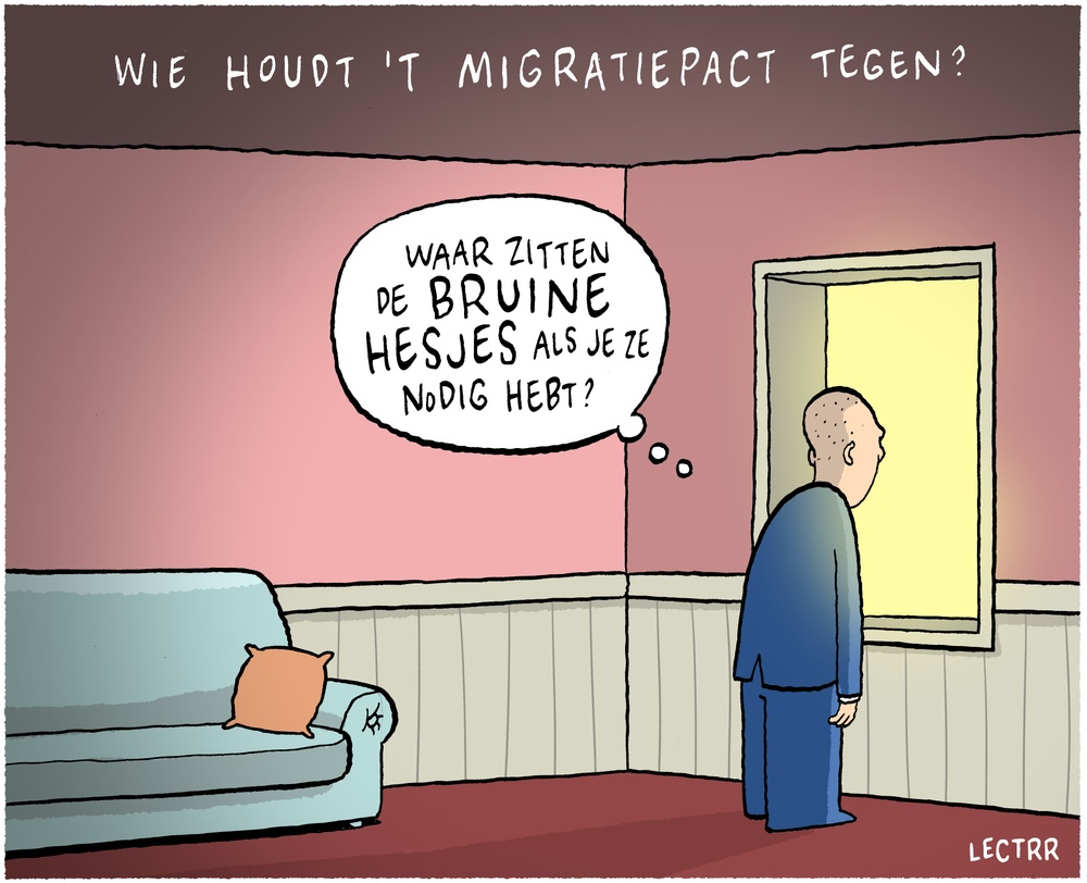 Bruine hesjes