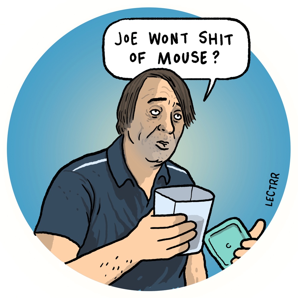 Shit of mouse