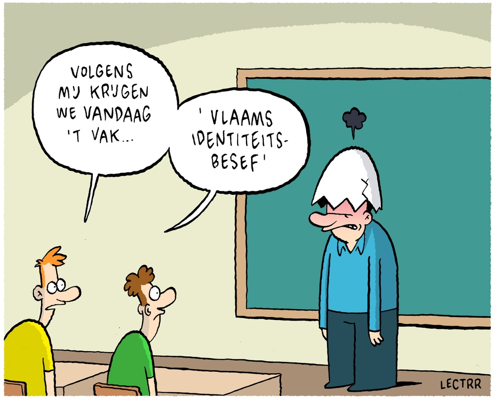 Vlaams identiteitsbesef