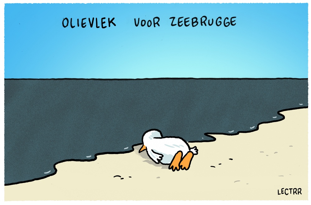 Olievlek Zeebrugge