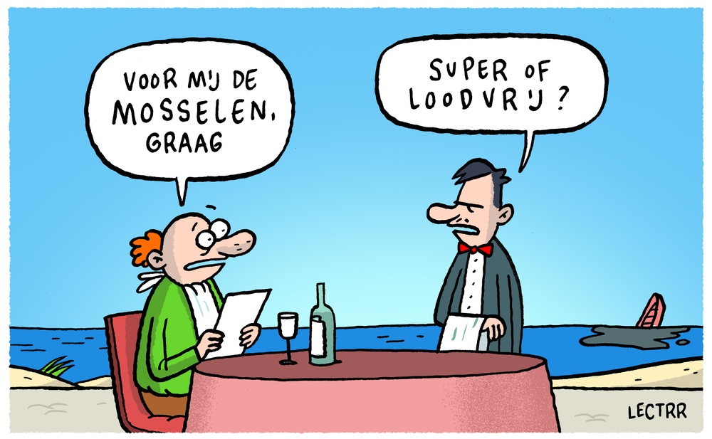 Olievlek Zeebrugge (2)