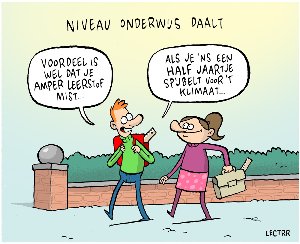 Niveau onderwijs