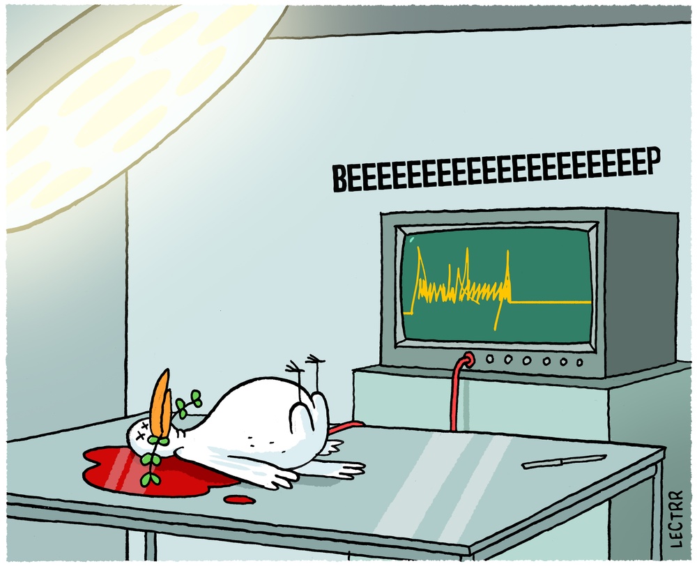 Vredesduif / Dove of peace